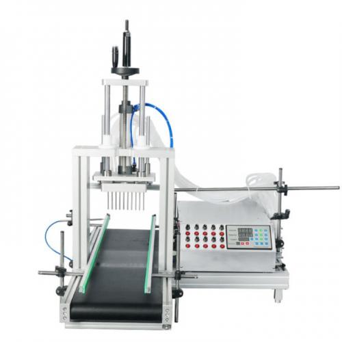 LT-DTPP10D 10 DIVING NOZZLES PERISTALTIC PUMP LIQUID FILLING MACHINE